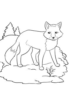 236x305 Polar Animals Printable Templates Coloring Pages