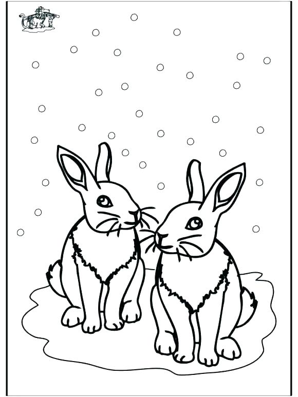 580x773 Winter Animal Coloring Sheets Snowshoe Animal Coloring Pages