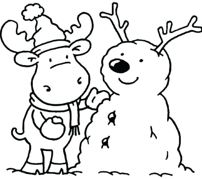 678x600 Winter Animal Coloring Pages