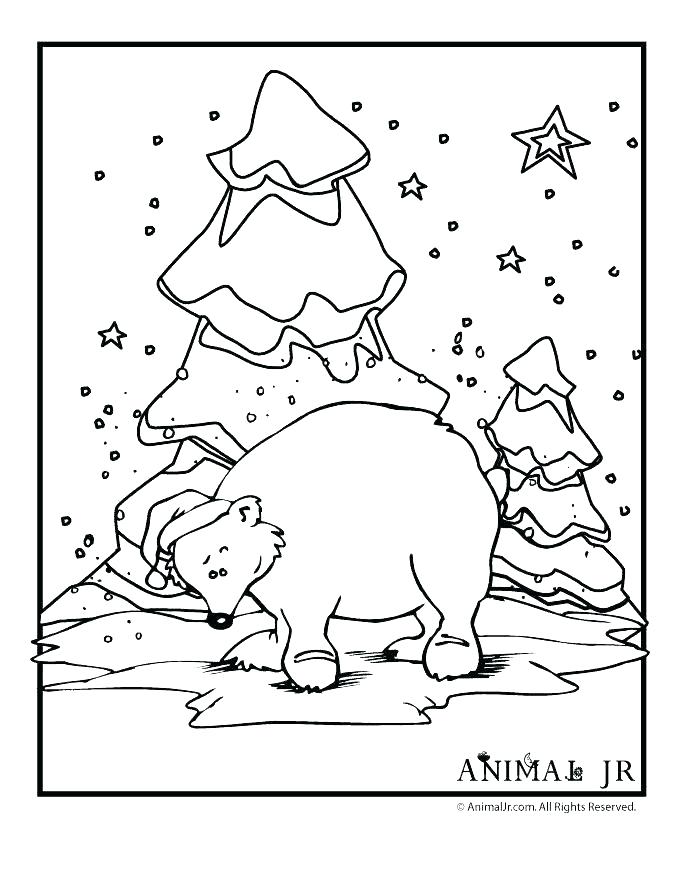 684x881 Winter Animal Coloring Pages