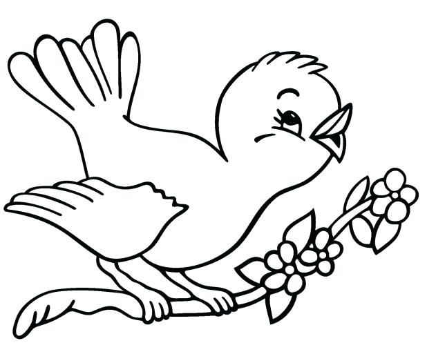 618x513 Cardinal Bird Coloring Page Winter Birds Coloring Pages Page Free