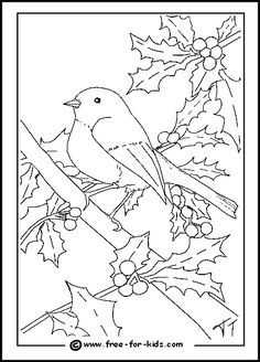 236x328 Simple Bird Coloring Pages Best Coloring Page Site Mandalas