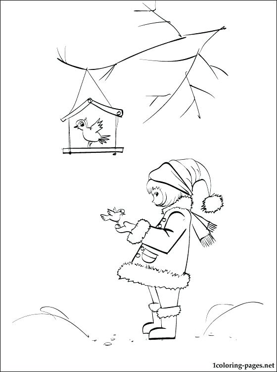 560x750 Winter Birds Coloring Pages Grandmaman Site