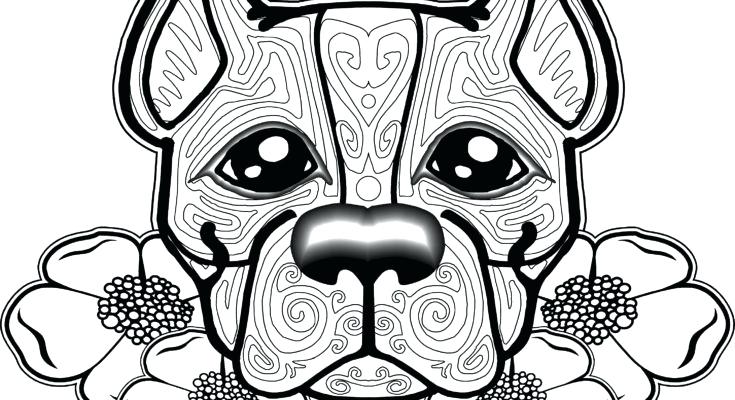 735x400 Coloring Pages For Kids Valentines Dog Winter Coats Page Coat