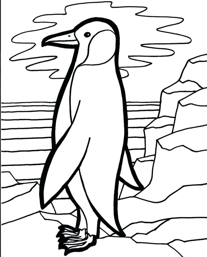 728x900 Penguins Coloring Pages King Penguin From Islands Sheets Printable