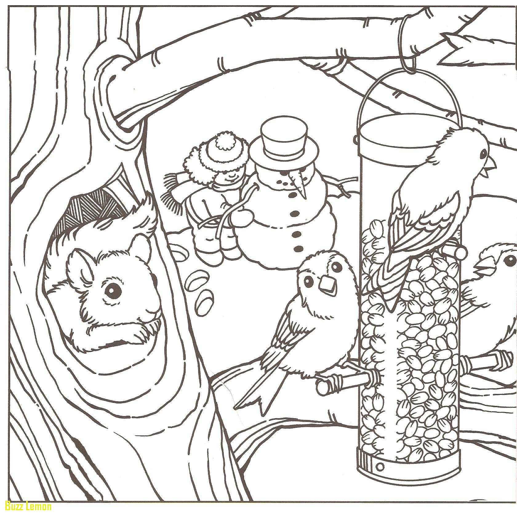 1680x1680 Lovely Coloring Page Winter Scene Buzz Coloring