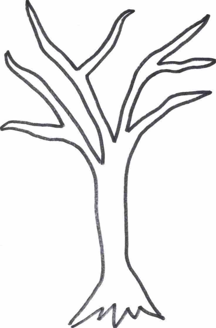 736x1117 Cool Winter Tree Coloring Page Awesome Ideas Without Leaves