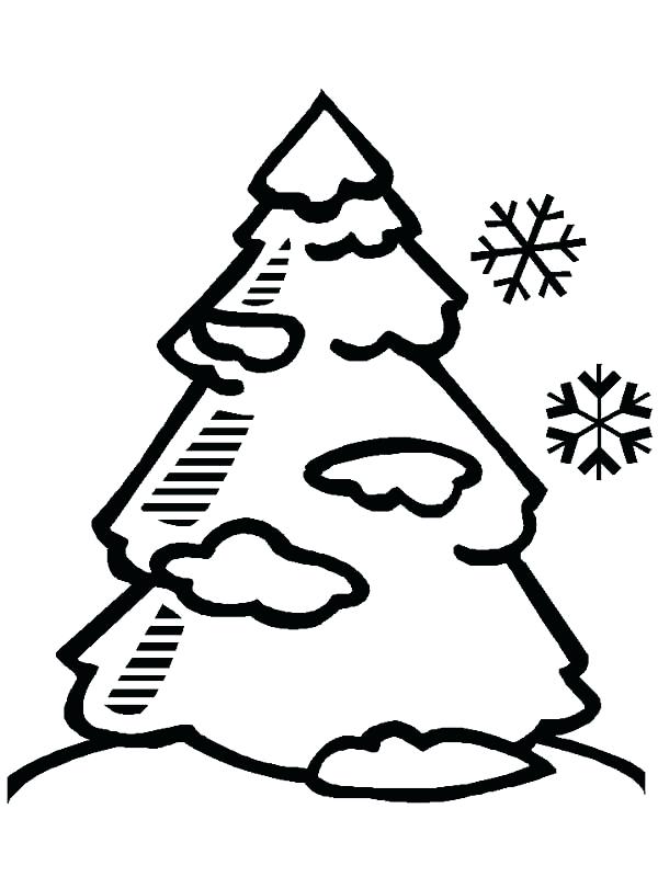 600x800 Kids Drawing Of A Tree At Free For Personal Use Winter Tree