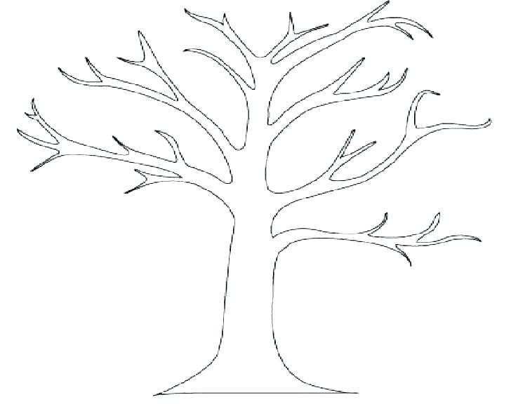 728x593 Oak Tree Coloring Page For Kids Color Luna Oak Tree Coloring Page