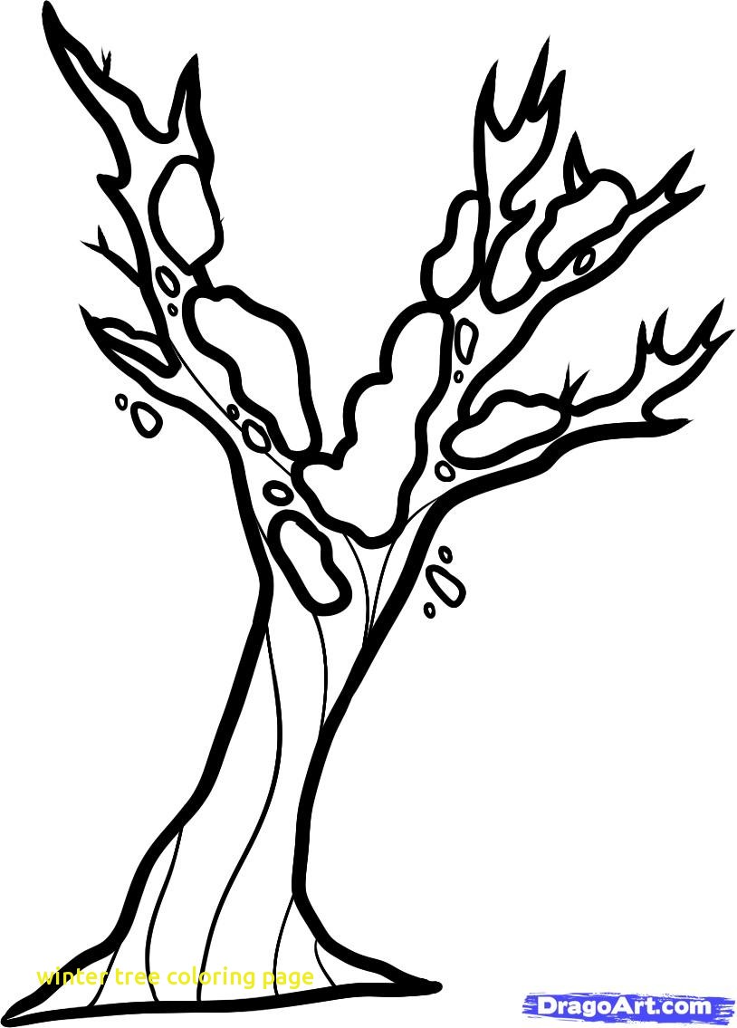 814x1135 Trend Winter Tree Coloring Page Autumn Veles M