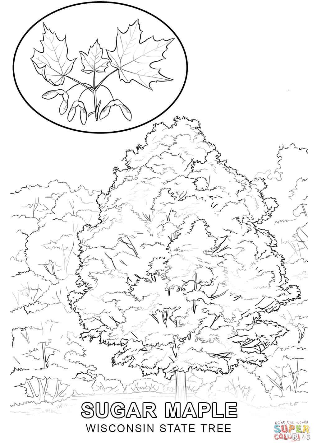 1020x1440 Wisconsin Flag Coloring Pages