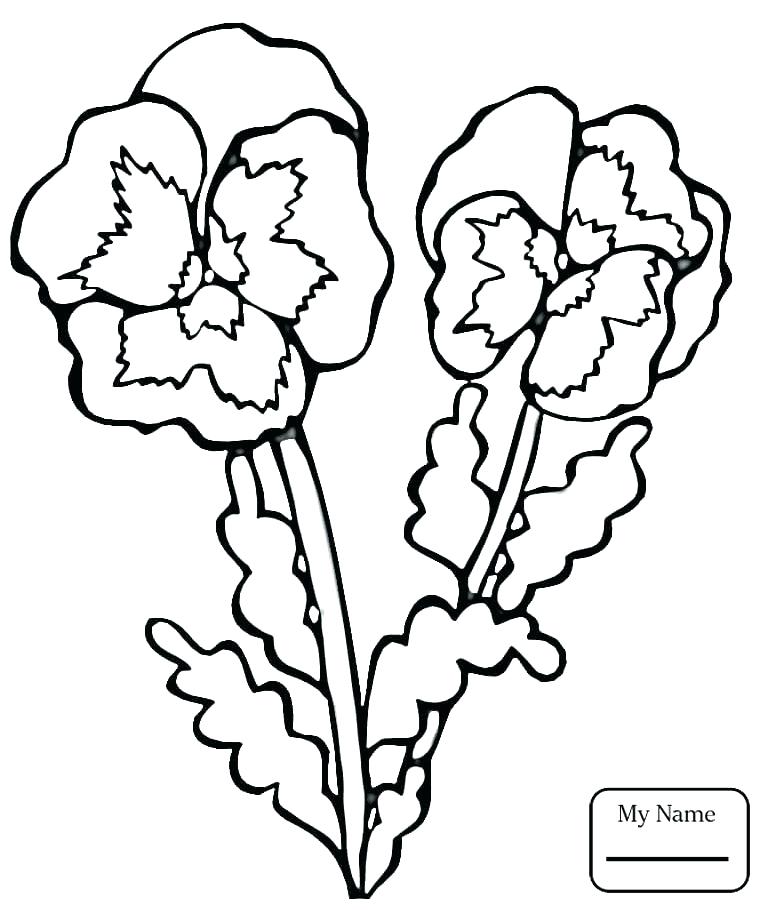 765x910 Wisconsin Coloring Pages State Flag Coloring Page Well State Flag