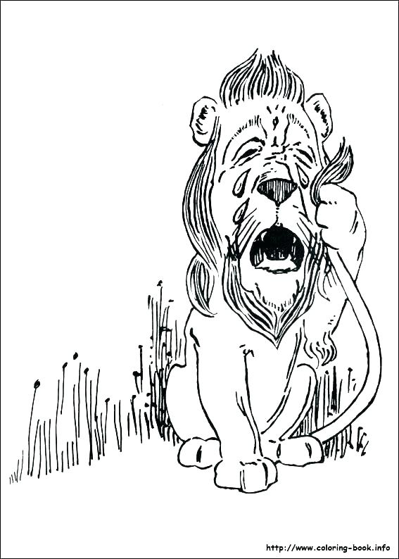 567x794 Wizard Of Oz Coloring Pages Wizard Coloring Pages Wizard Of Oz