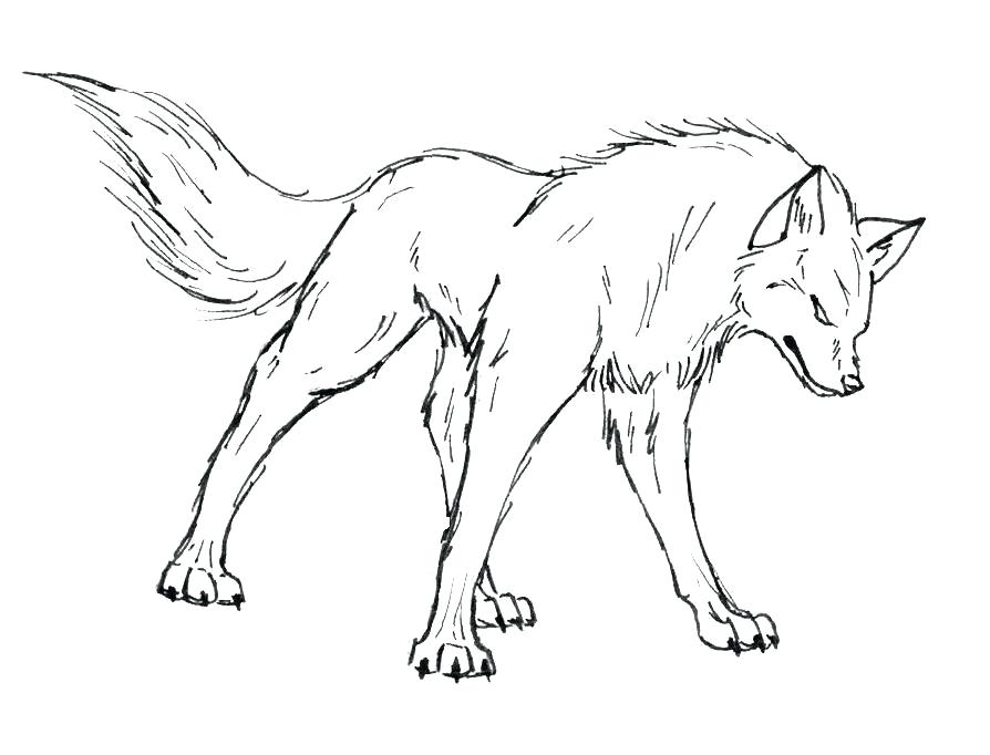 894x682 Wolf Coloring Pages