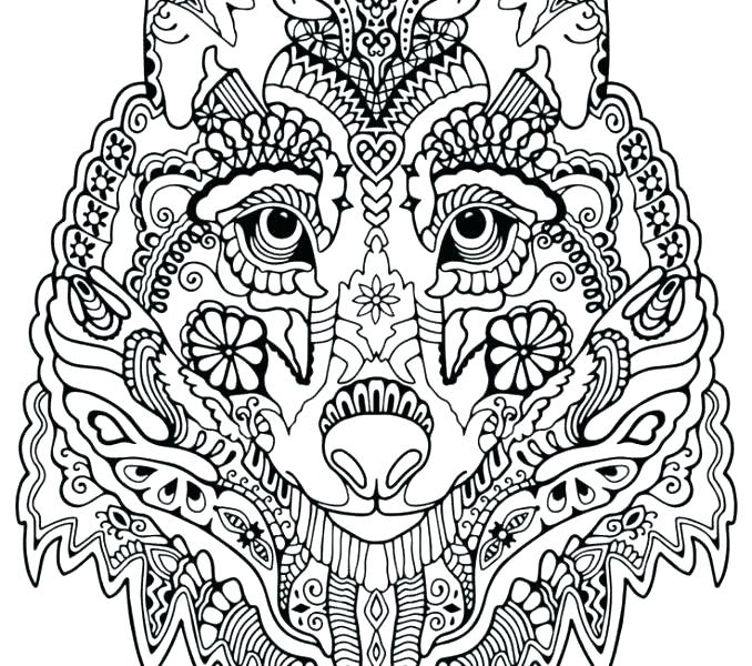 678x600 Winged Wolf Coloring Pages Lovely Wolf Coloring Pages For Adults