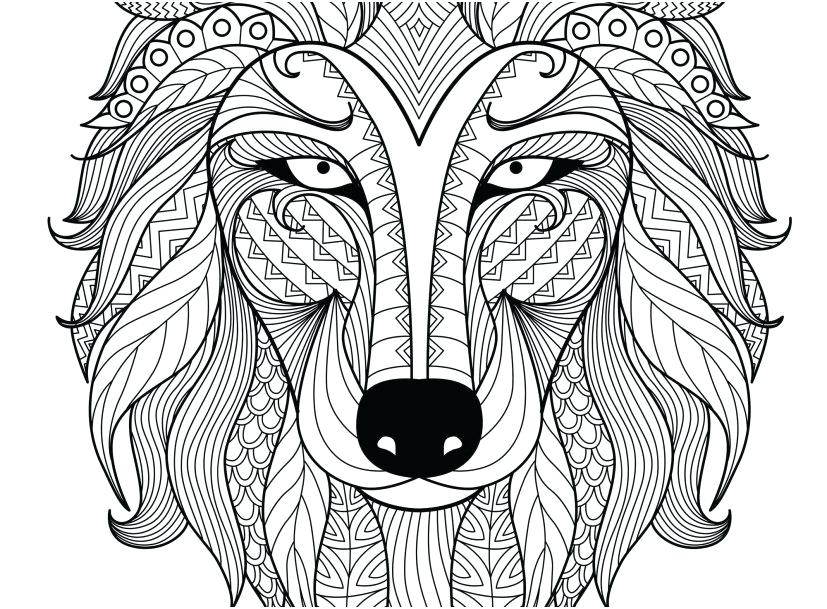 827x609 Wolf Coloring Book Gray Wolf Coloring Page Grey Wolf Coloring