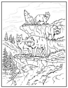 231x300 Wolf Coloring Pages For Adults