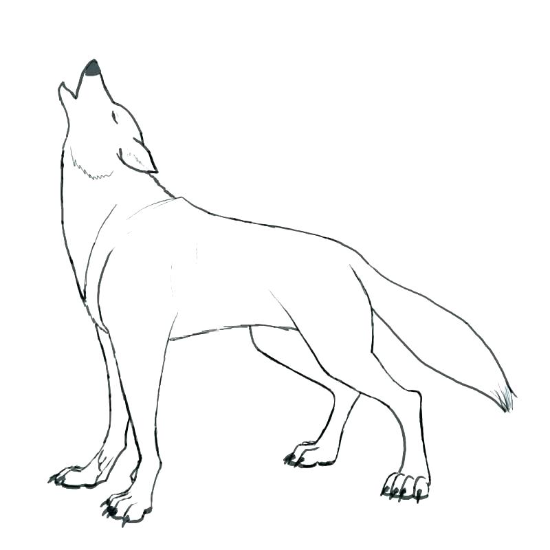 800x800 Free Printable Coloring Sheets Of Wolves Kids Coloring Wolf