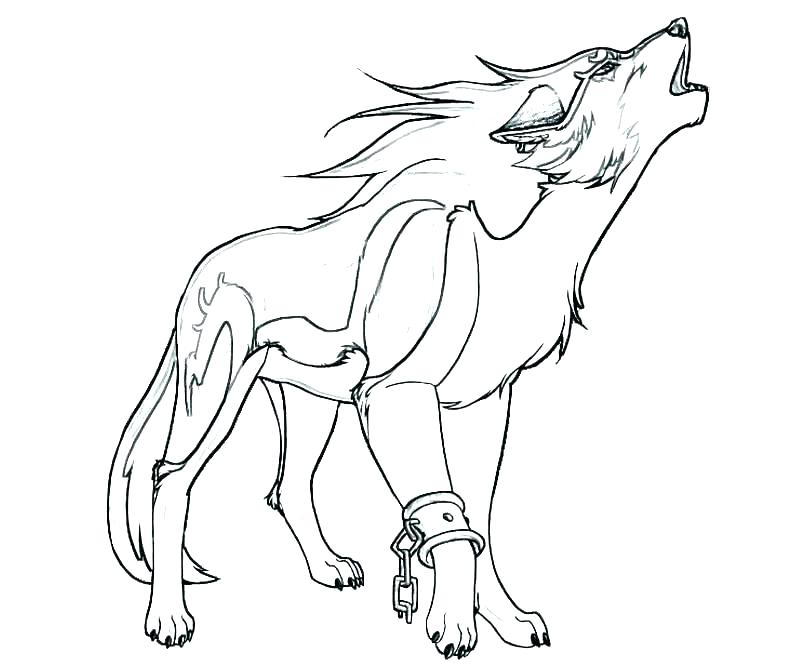 800x667 Wolf Color Pages Great Wolf Lodge Printable Coloring Pages