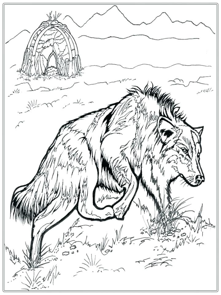 720x960 Realistic Adult Wolf Coloring Pages Free Printable Amazing Wolf