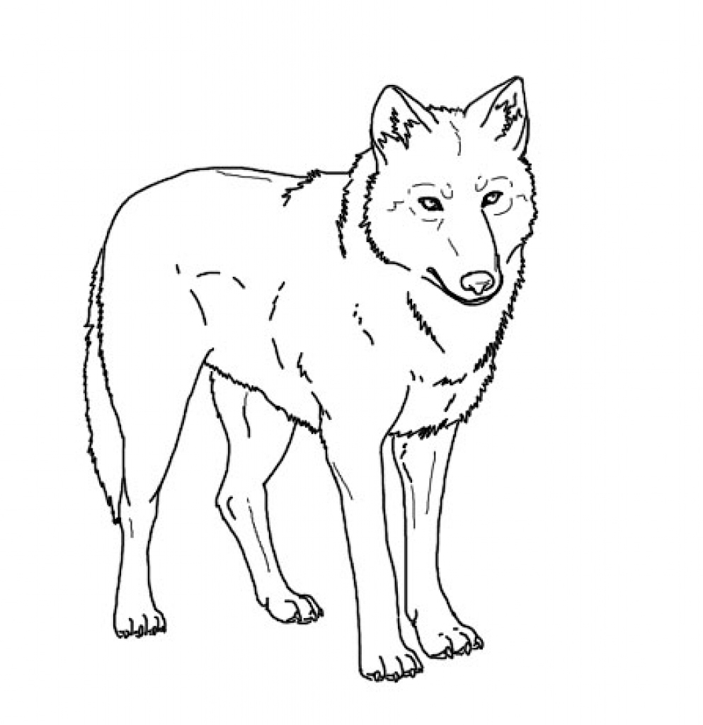 993x1024 Realistic Coloring Pages Inspirational Realistic Wolf Coloring