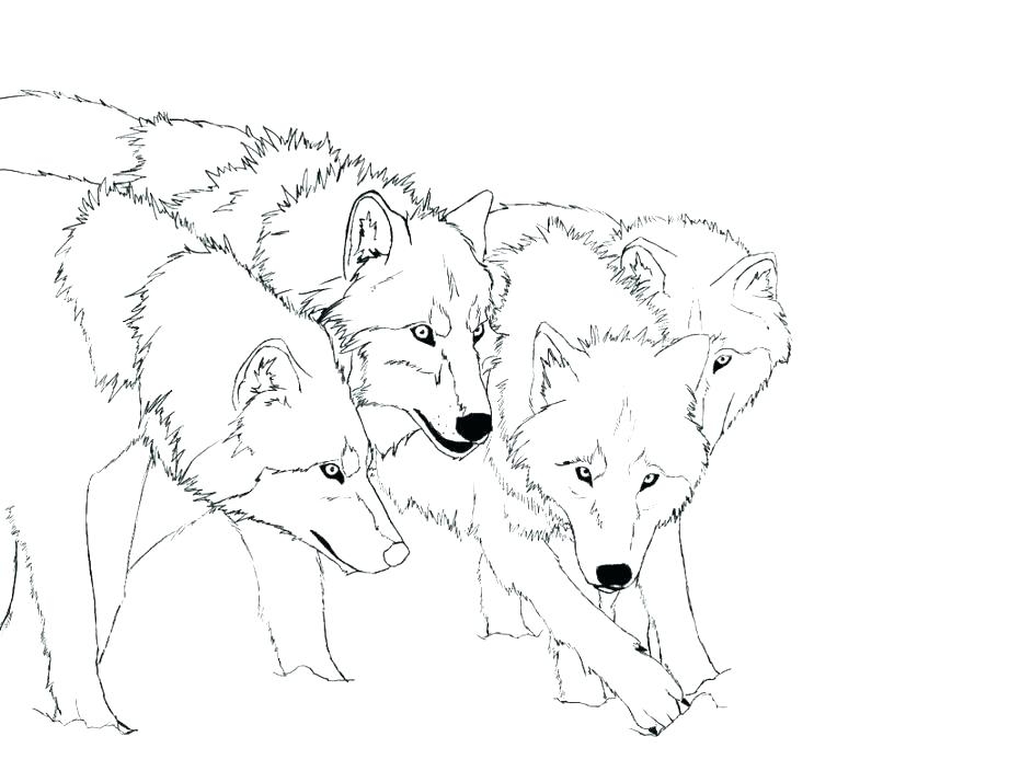 921x704 Free Printable Wolf Coloring Pages Free Printable Wolf Coloring