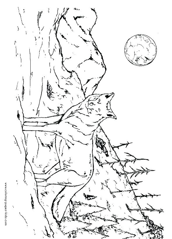 590x821 Wolf Coloring Pictures Coloring Wolf Cartoon Wolf Coloring Pages