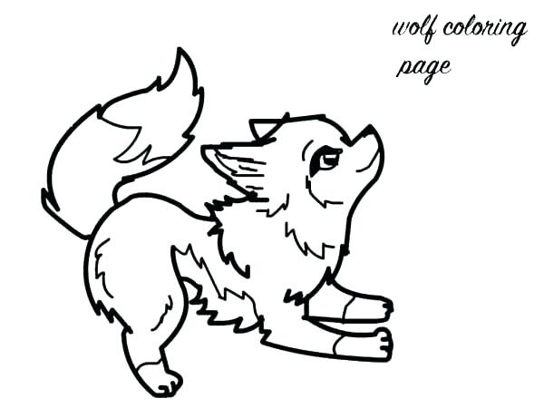 600x450 Cute Narwhal Coloring Pages Narwhal Coloring Pages Baby Fox