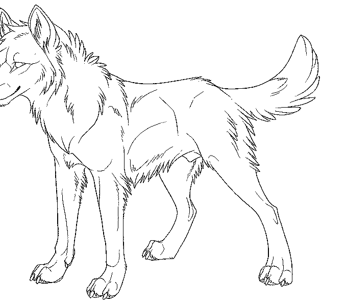 678x600 Wolf Pictures To Color And Print Coloring Page