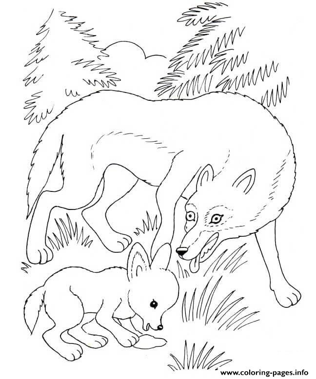 648x778 Wolf Mother And Wolf Cub Coloring Pages Printable
