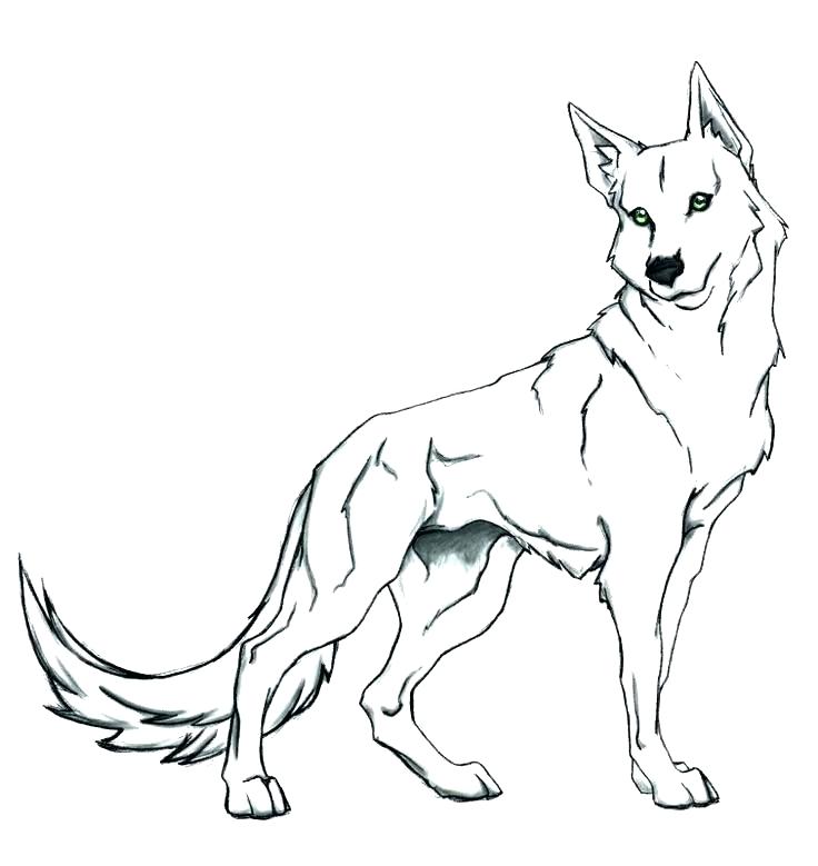 736x779 Coloring Realistic Coloring Pages Wolf Page Cute Face Of Horses