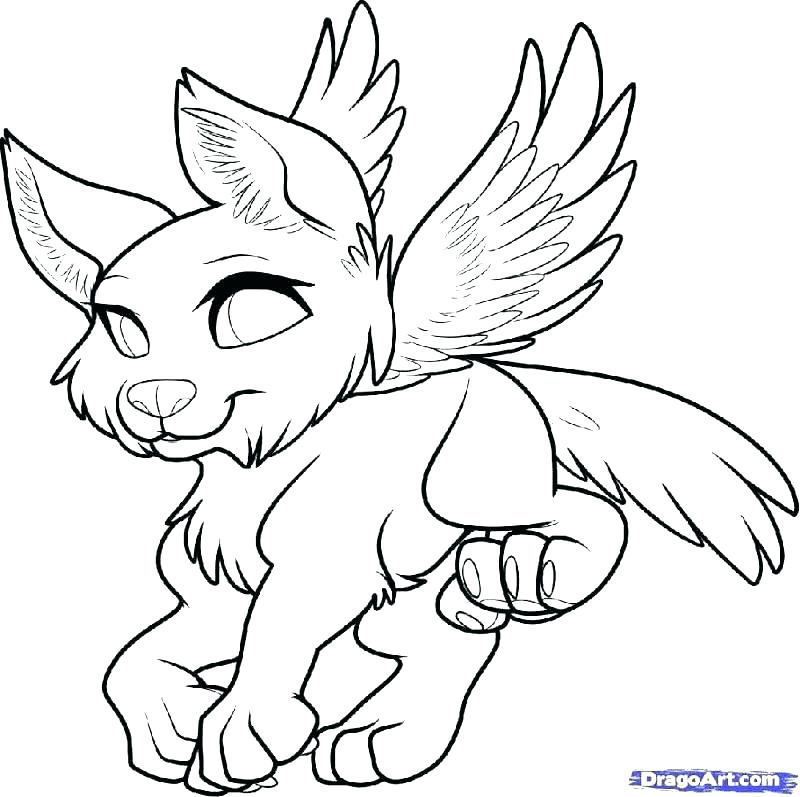800x797 Coloring Page Wolf