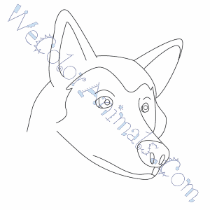 300x300 Wolf Head Coloring Pages