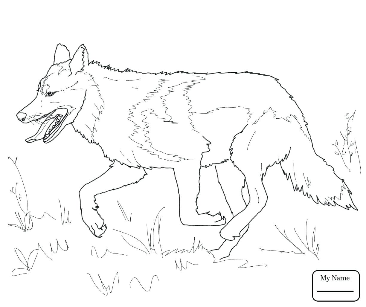 1224x1027 Coloring Pages Wolf Coloring Pages Click The Red Head Pictures