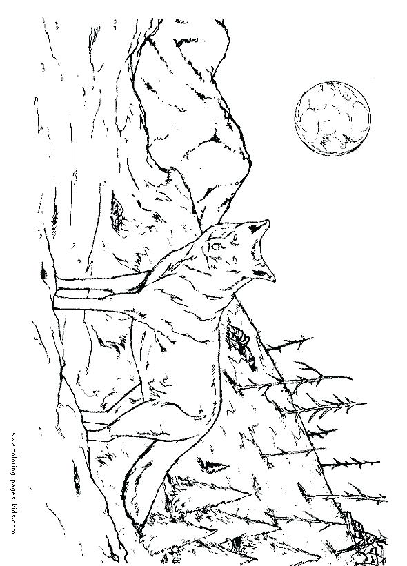 590x821 Coloring Pages Of Wolves