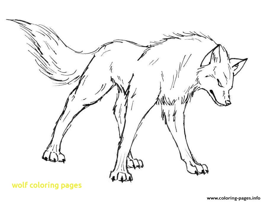 894x682 Wolf Coloring Pages Cool Wolf Coloring Pages