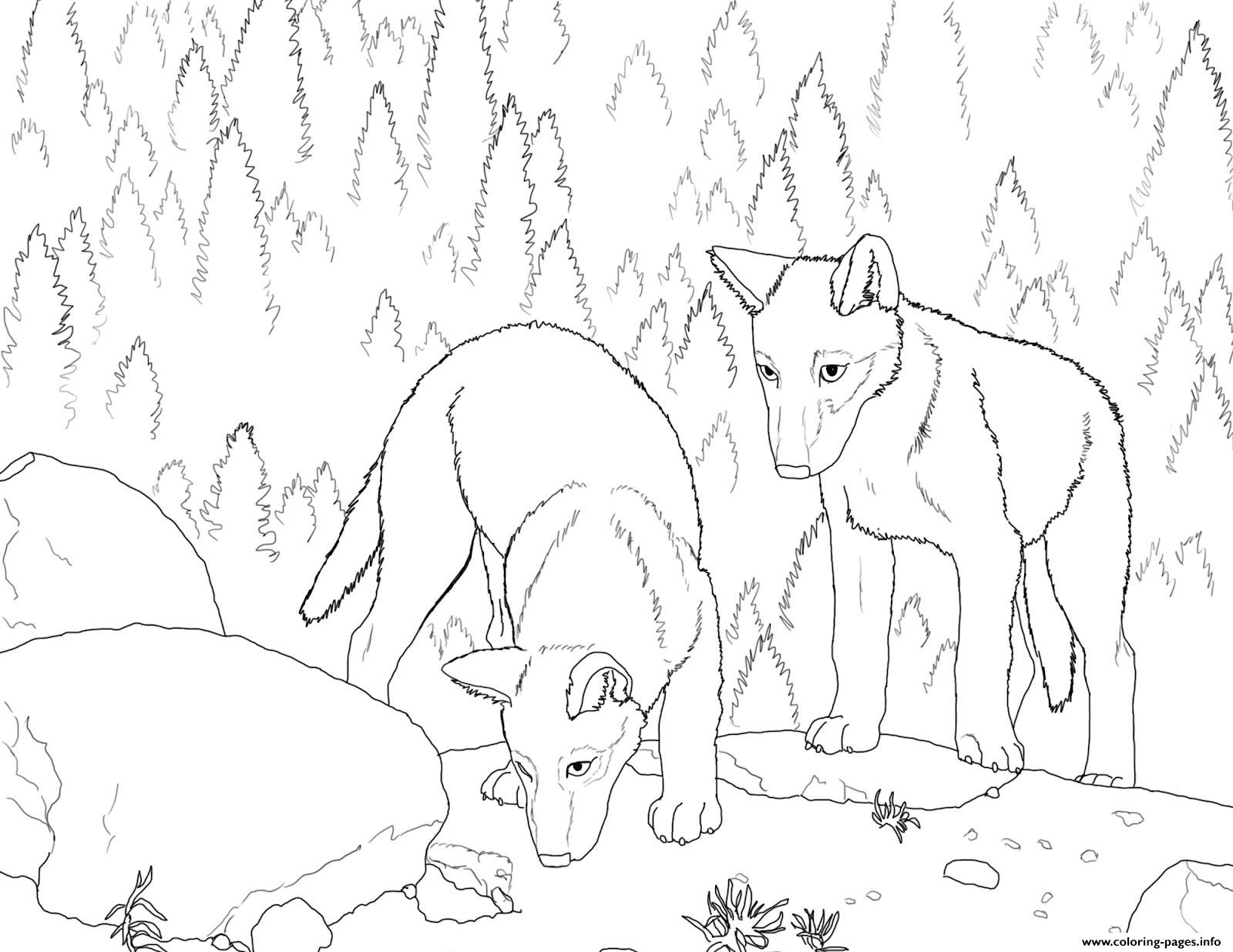 1600x1236 Wolf Pack Coloring Pages Funycoloring Adorable Realistic