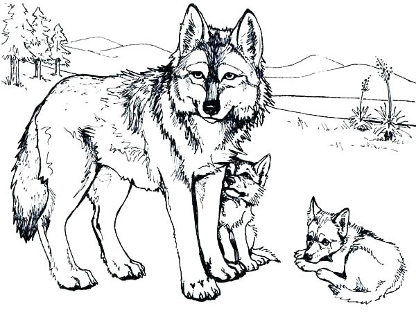 600x458 Cartoon Wolves Coloring Pages Anime Wolf Just
