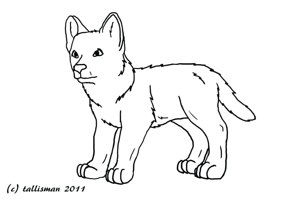 1024x680 Realistic Puppy Coloring Pages