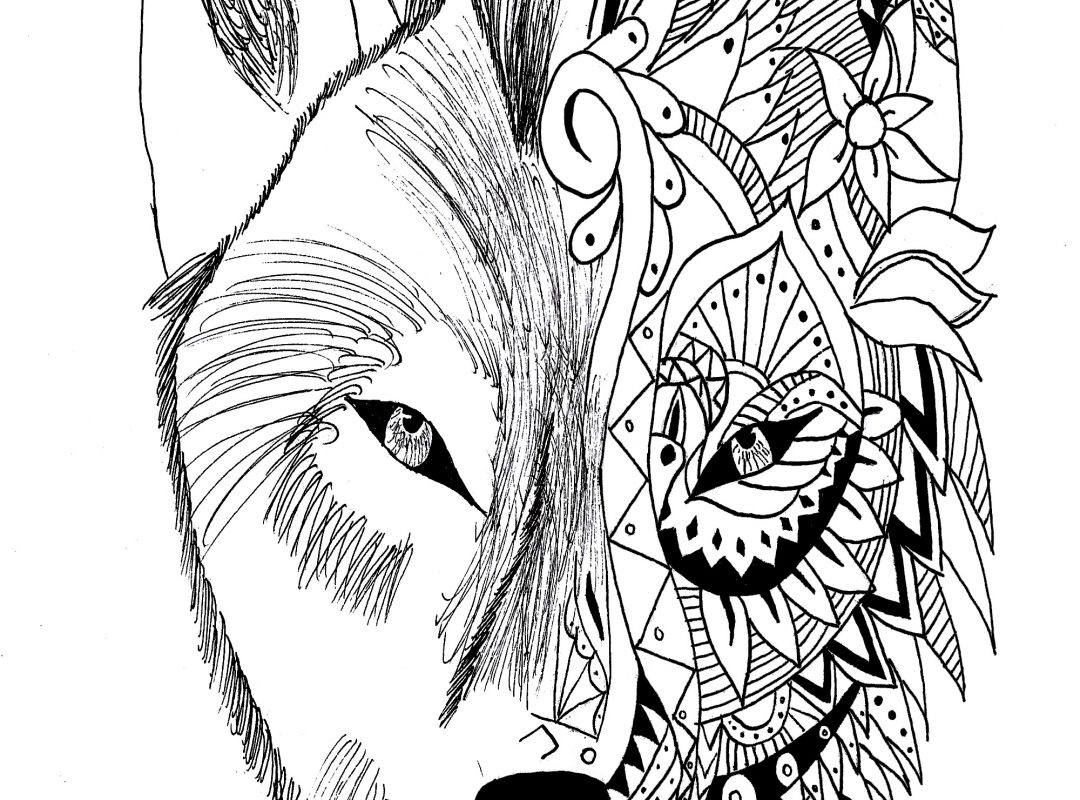 1080x800 Drawn Howling Wolf Winging Page Pencil And In Coloring Pages Free