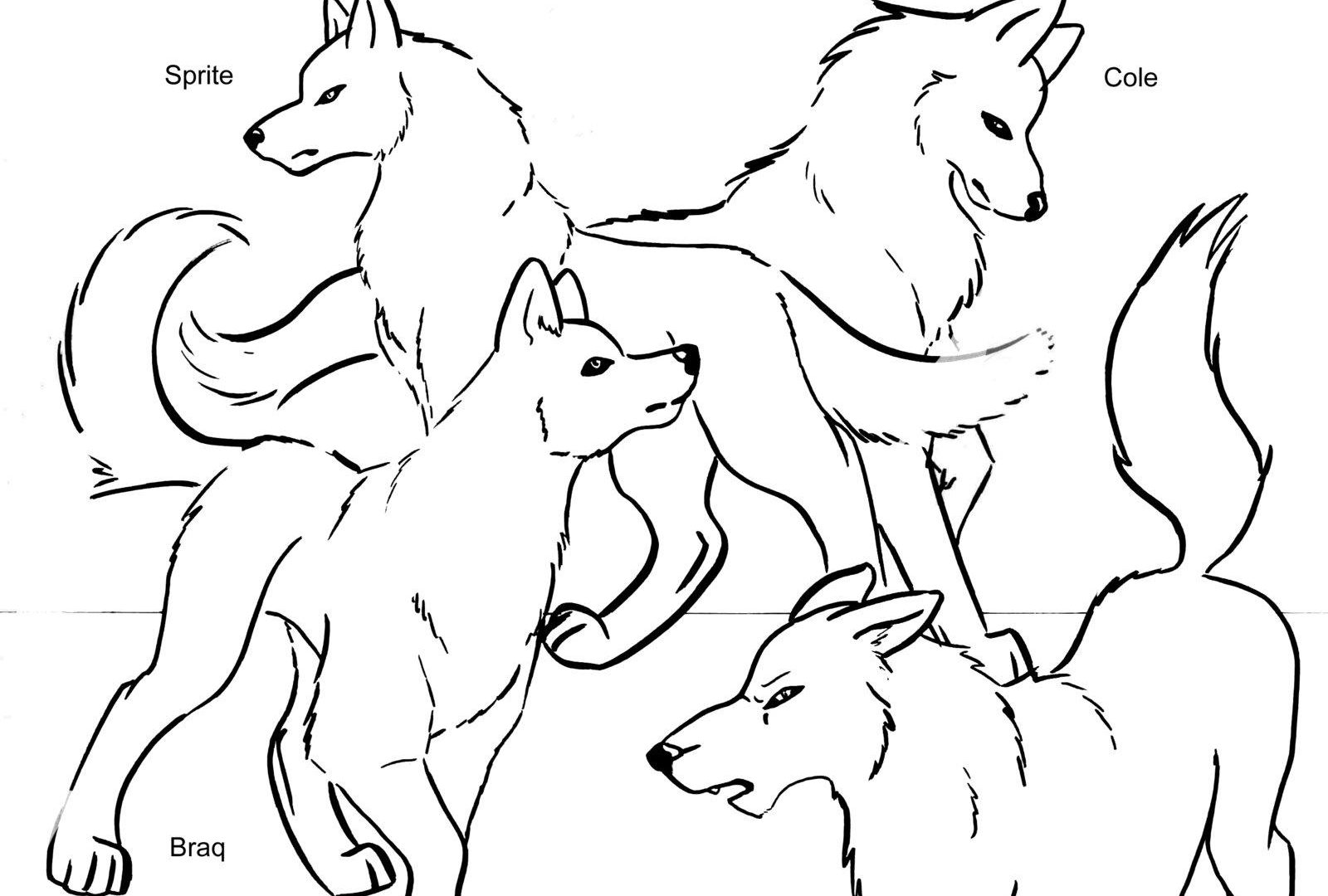 1600x1080 Realistic Wolf Coloring Pages Free Printable General Minecraft