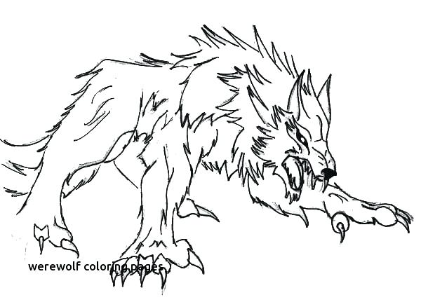 600x431 Coloring Wolfman Coloring Pages