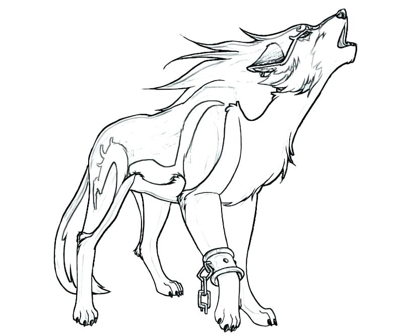 800x667 Wolf Coloring Page Wolf Coloring Pages Anime Wolf Girl Coloring
