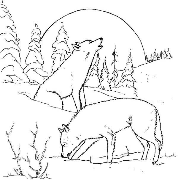 600x605 Wolf Couple