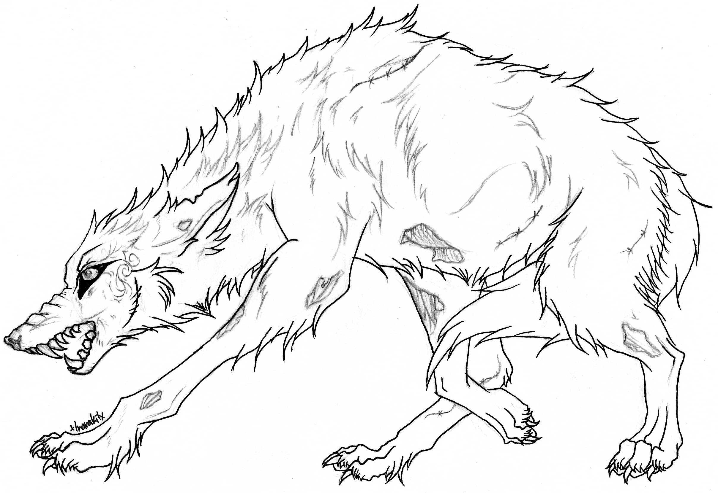 2417x1662 Baby Wolf Coloring Pages Download