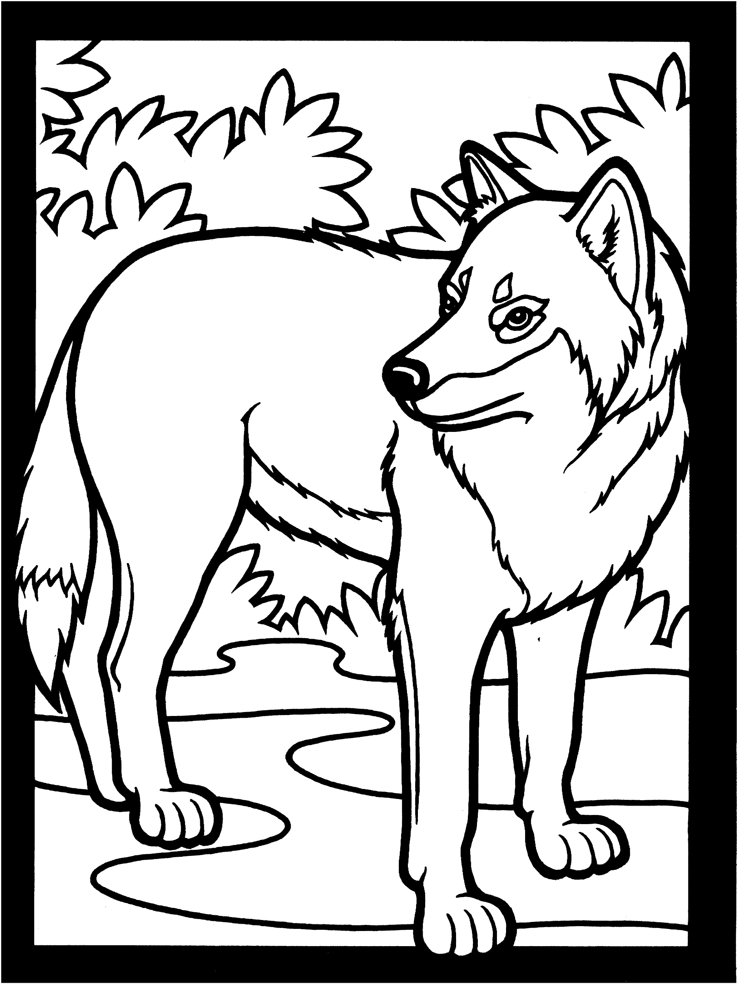 2437x3249 Coloring Pages Wolf Elegant Free Wolf Coloring Pages
