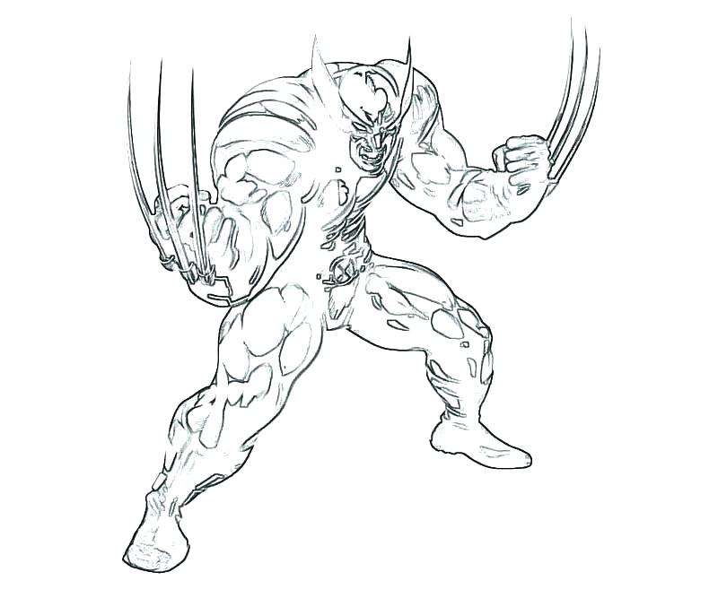 800x667 Wolverine Coloring Pages Easy And Wolverine Coloring Pages