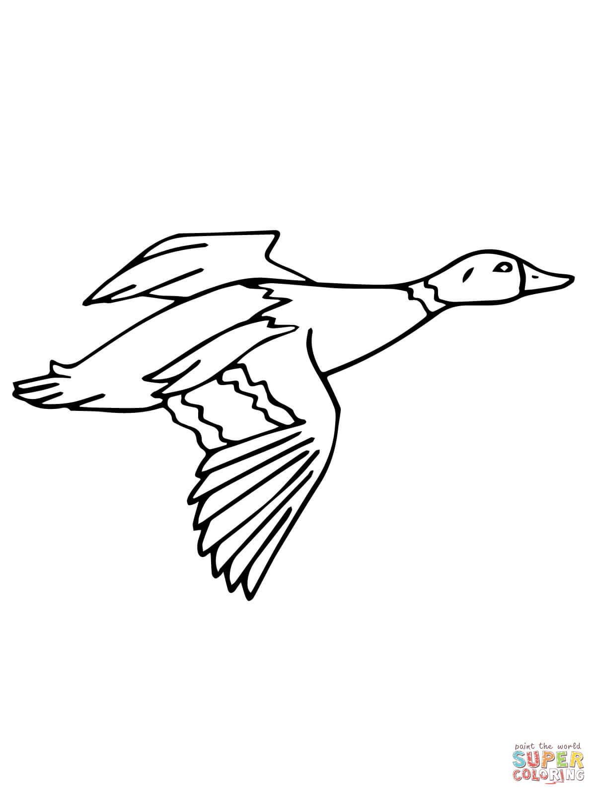 1200x1600 Drake Coloring Pages Printable Coloring Pages