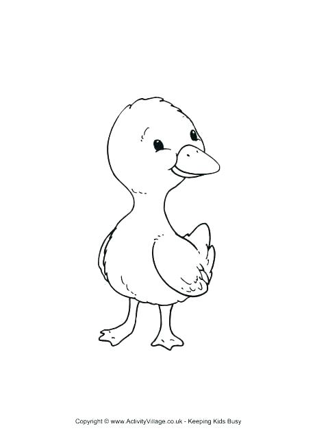 460x650 Duck Color Page Wood Duck Duckling Coloring Page Daisy Duck