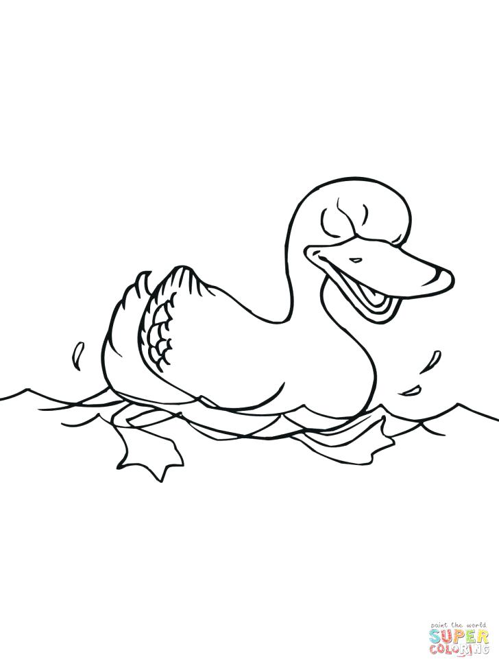 728x971 Duck On A Bike Coloring Page Duck Coloring Page Ducks Pages